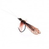 Mouche Caddis Adulte