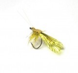 Mouche Caddis Adulte