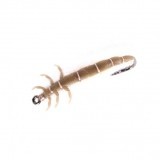 Mouche Caddis Larve