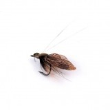 Mouche Caddis Pupe